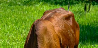 Google Haritalar’da Yorum Yaparak Para Kazanma Rehberi: Nasıl Başarılı Olursunuz?