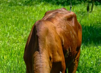 Google Haritalar’da Yorum Yaparak Para Kazanma Rehberi: Nasıl Başarılı Olursunuz?