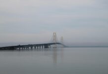 Yerel Rehber Seviyesi Yükseldikçe Kazanç Artar Mı? Cevaplar!