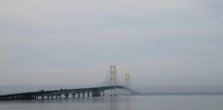 Yerel Rehber Seviyesi Yükseldikçe Kazanç Artar Mı? Cevaplar!