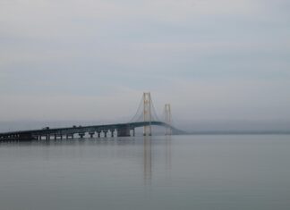 Yerel Rehber Seviyesi Yükseldikçe Kazanç Artar Mı? Cevaplar!
