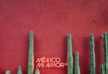 Yapıcı Yanıtlar İşletme İmajını İyileştirir Mi? Etkili Stratejiler