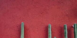 Yapıcı Yanıtlar İşletme İmajını İyileştirir Mi? Etkili Stratejiler