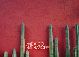 Kötü Yorumlar Müşteriyi Uzaklaştırır Mı? Şaşırtan Gerçekler!