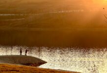Kaliteli Yorum Yazanlar Nasıl Fark Edilir? Etkili Yöntemler!