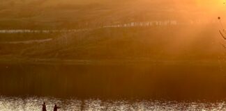 Kaliteli Yorum Yazanlar Nasıl Fark Edilir? Etkili Yöntemler!