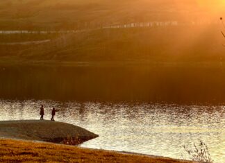 Kaliteli Yorum Yazanlar Nasıl Fark Edilir? Etkili Yöntemler!