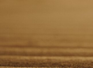 Google’daki Yorumlar Güvenilirlik Açısından Ne Kadar Etkili?