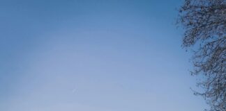 Google Yorumları İle Marka Sadakati Oluşturma: Etkili Stratejiler