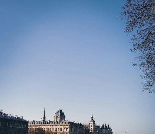 Google Yorumları İle Dönüşüm Oranları Nasıl Artırılır? Etkili Taktikler!