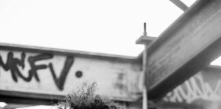 Yorumlara Fotoğraf Eklemek Avantaj Sağlar mı? İşte Cevabı!