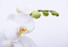 Tüm Olumsuz Yorumlar Sahte Midir? Gerçekleri Keşfedin!