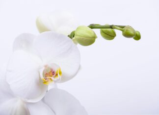 Tüm Olumsuz Yorumlar Sahte Midir? Gerçekleri Keşfedin!