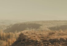 En Çok Beğeni Alan Yorumların Ortak Özellikleri Neler? Merak Edin!