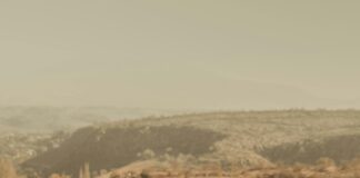 En Çok Beğeni Alan Yorumların Ortak Özellikleri Neler? Merak Edin!