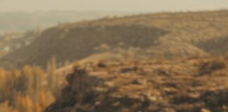 Yorumlar İçin En Çok Talep Edilen Şehirler: Merak Edilenler ve İpuçları