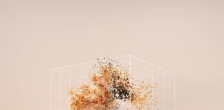 Google Yerel Rehber Seviyeleri Ne Anlama Geliyor? Merak Edilenler!