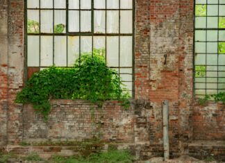 Raporladığım Olumsuz Yorum Neden Hala Yayında? Kesin Çözümler!