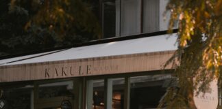 Yerel Rehberlik Kariyerine Nereden Başlamalı? Başarı Sırlarıyla!