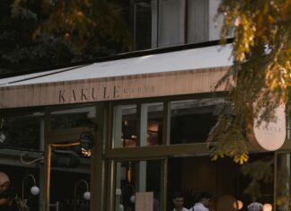 Yerel Rehberlik Kariyerine Nereden Başlamalı? Başarı Sırlarıyla!