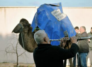 Yorum Yazma Hedefleri Koyarak Motivasyon Artırma Yöntemleri Nelerdir?