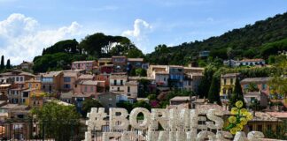 Negatif Yorumların SEO’ya Zararı Var Mı? Şaşırtan Gerçekler