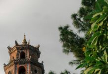 Negatif Yorumu Fırsata Çevirmek Mümkün Mü? Etkili Yöntemler!