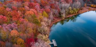 Google Yorumlarında Yıldız Puanı Mı Metin İçeriği Mi Daha Etkili?