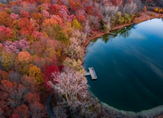 Google Yorumlarında Yıldız Puanı Mı Metin İçeriği Mi Daha Etkili?
