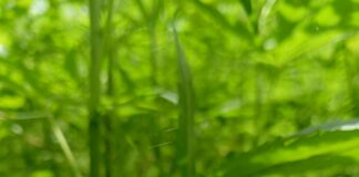 Kaliteli Yorum Yazmanın Altın Kuralları: Etkili ve Doğru İpuçları