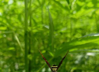 Kaliteli Yorum Yazmanın Altın Kuralları: Etkili ve Doğru İpuçları