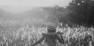 2025’te Yerel Rehberlikten Nasıl Para Kazanılır? Başarının Sırları