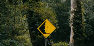 Yorumlarla Marka İmajı Nasıl Şekillenir? Etkili Stratejiler!