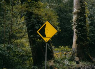 Yorumlarla Marka İmajı Nasıl Şekillenir? Etkili Stratejiler!