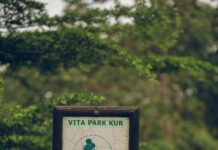 5 Yıldızlı Yorum Yazmanın İncelikleri: Mükemmelliği Yakalamak İçin İpuçları