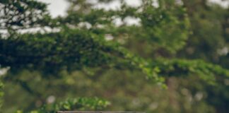 5 Yıldızlı Yorum Yazmanın İncelikleri: Mükemmelliği Yakalamak İçin İpuçları