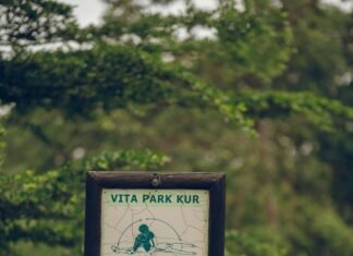 5 Yıldızlı Yorum Yazmanın İncelikleri: Mükemmelliği Yakalamak İçin İpuçları