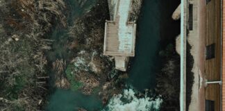 Yorumlara Yanıt Verirken Hangi Dil Kullanılmalı? Etkili İpuçları