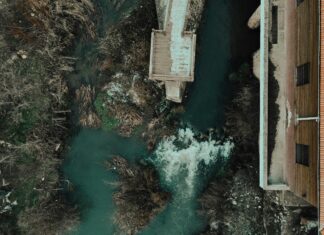 Yorumlara Yanıt Verirken Hangi Dil Kullanılmalı? Etkili İpuçları