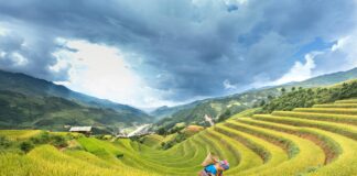 Yorumların Sırasını Değiştirmek Mümkün Mü? En Etkili Yöntemler