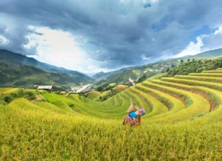 Yorumların Sırasını Değiştirmek Mümkün Mü? En Etkili Yöntemler
