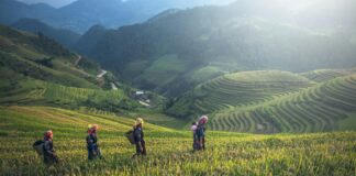 İşletme Dışından Gelen Yorumları Kaldırmak Mümkün Mü? Etkili Yöntemler!