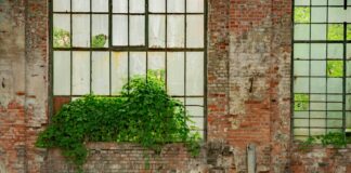 Şikayet Ettiğim Yorum Neden Hala Yayında? Gizli Sebepler!