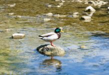 Tüm Yorumlara Tek Tek Yanıt Vermek Mantıklı Mı? Merak Edilenler
