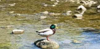 Tüm Yorumlara Tek Tek Yanıt Vermek Mantıklı Mı? Merak Edilenler