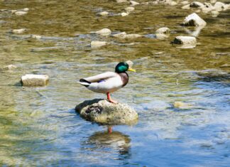 Tüm Yorumlara Tek Tek Yanıt Vermek Mantıklı Mı? Merak Edilenler