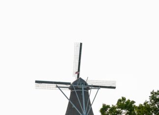 Şikayet Edilen Yorum Anonim İse İşlem Yapılır mı? Merak Edilenler