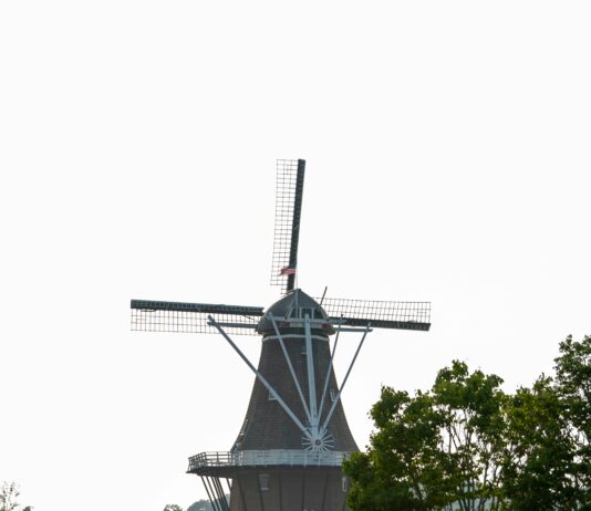 Negatif Yorumları Azaltmak İçin Çalışan Eğitimi Gerçekten Faydalı mı?