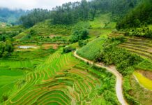 Olumsuz Yorumlar Karşısında Savunmacı Olmak Doğru Mu? Merak Edilenler