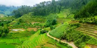 Olumsuz Yorumlar Karşısında Savunmacı Olmak Doğru Mu? Merak Edilenler